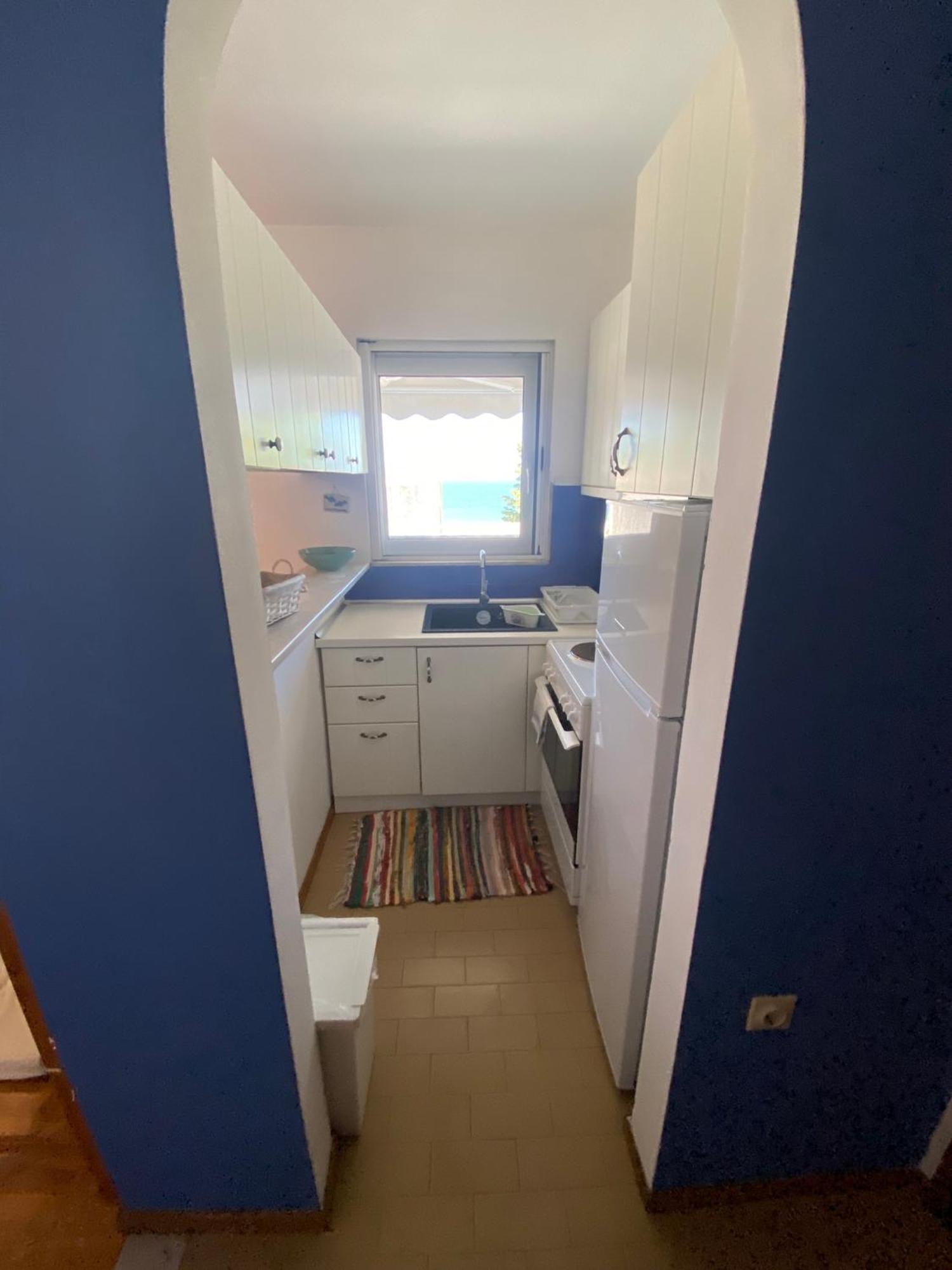 Irini Seaside Apartment Palaiontsiflikion Exterior photo